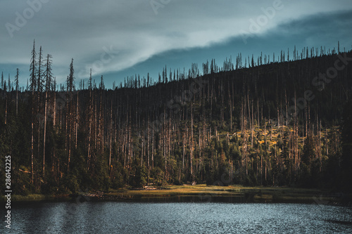 Laka lake in Sumava National Park, Czech republic photo