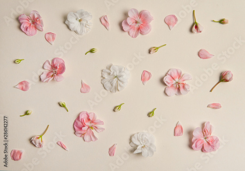 he pattern is made of white and pink pelargonium flowers on a light beige background.