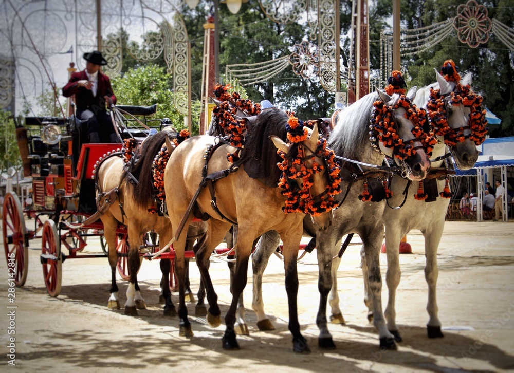Fototapeta premium Andalusian horses and a carriage in Feria del Caballo, Jerez de la Frontera (Cadiz, Spain)