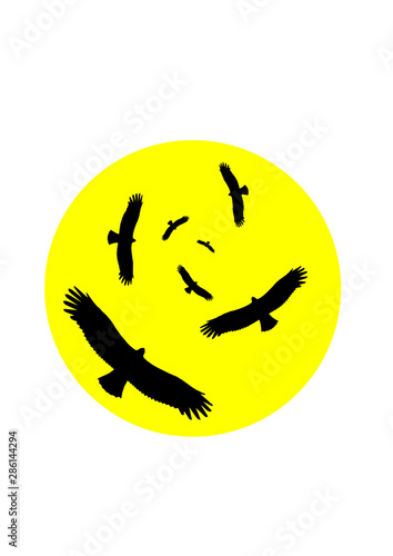 Geier kreisen vor der Sonne in der Wüste Vektor Grafik