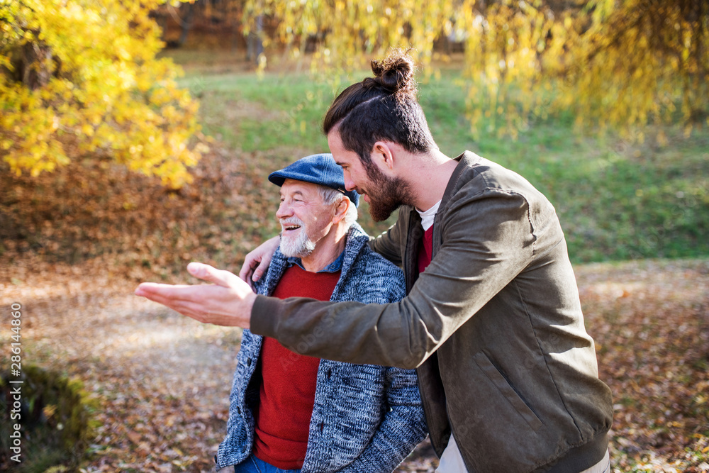 Senior father and his son standing in nature, talking. Senior father and his son standing in nature, talking.