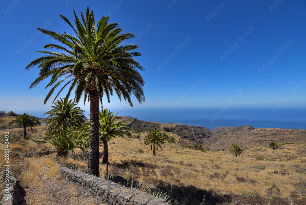 Landschaft mit Palmen auf der Insel La Gomera Landschaft mit Palmen auf der Insel La Gomera