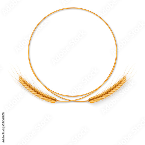 Wreath with wheat ears. Frame of spikelets. EPS 10