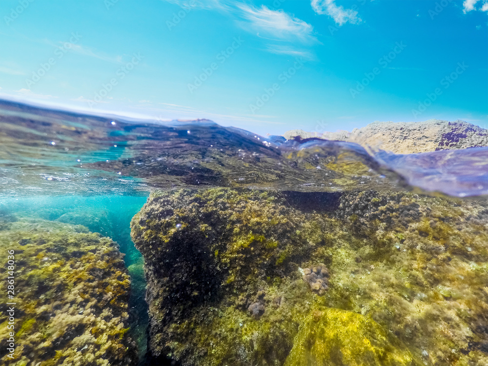 Split uderwater view of Sardinia clear water