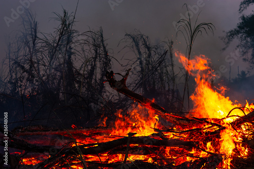 Wildfire while drought at night, close-up. Smoke and air Pollution from agricultural burning farm fields.