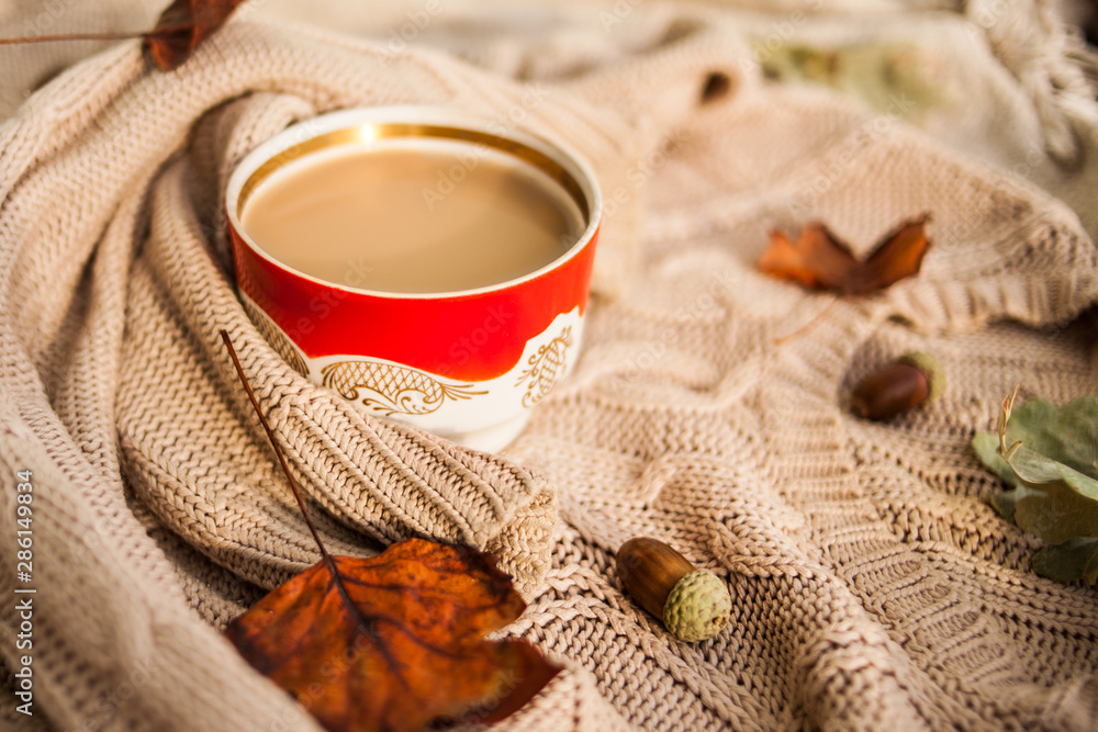 warm autumn. cup of coffee wrapped in a woolen beige sweater. still life. warm autumn. cup of coffee wrapped in a woolen beige sweater. still life.
