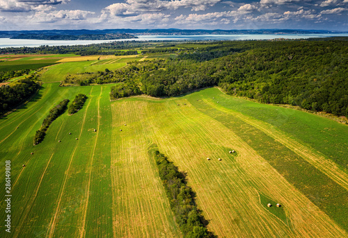 Aerial view of agricultural...