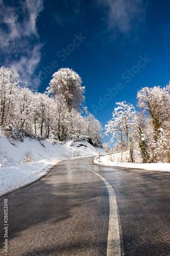 snowy road in winter
