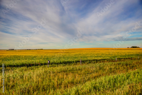 Farmland landscapes in the Alberta countryside