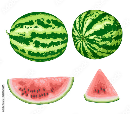Sweet juicy watermelon