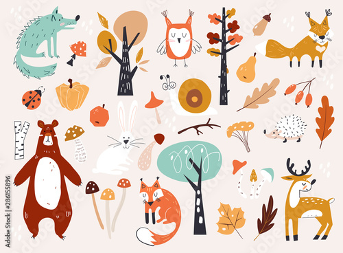 Cute Autumn Woodland Animals and Floral Forest Design Elements. Set of cute a...