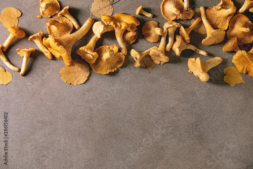 Forest chanterelle mushrooms, raw uncooked, with yellow autumn leaves over brown texture background. Flat lay, copy space