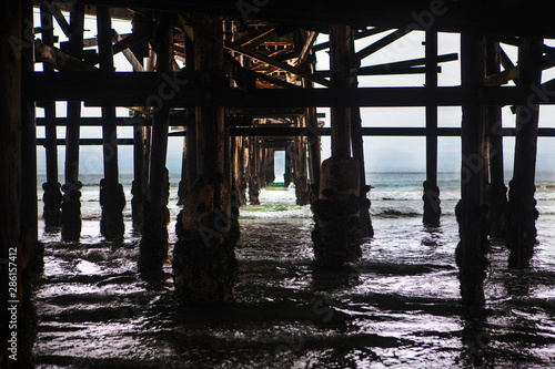Wallpaper Mural crystal pier san diego Torontodigital.ca