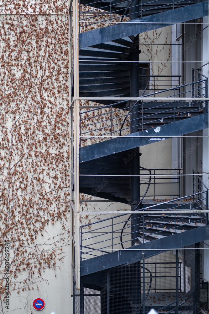 Fototapeta premium Escalier