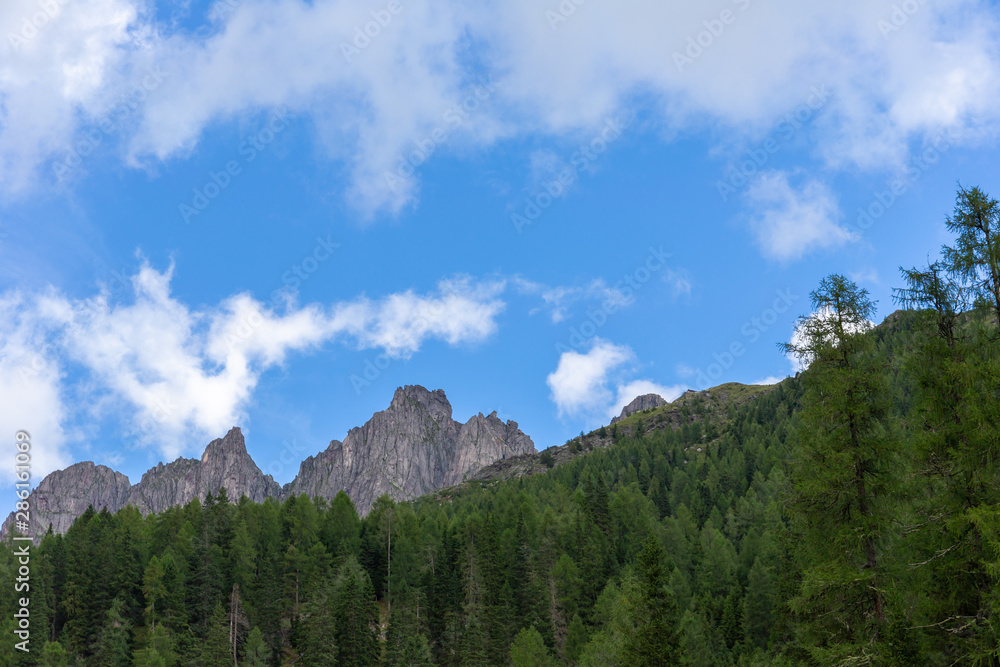 Obraz premium Cime rocciose dietro agli alberi