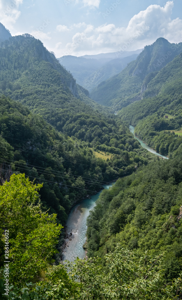 Tara Canyon, summer view (Montenegro).