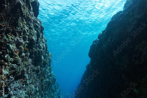 Water surface underwater seen from a crevice on the ocean floor, outer reef of Huahine island, south Pacific ocean, French Polynesia