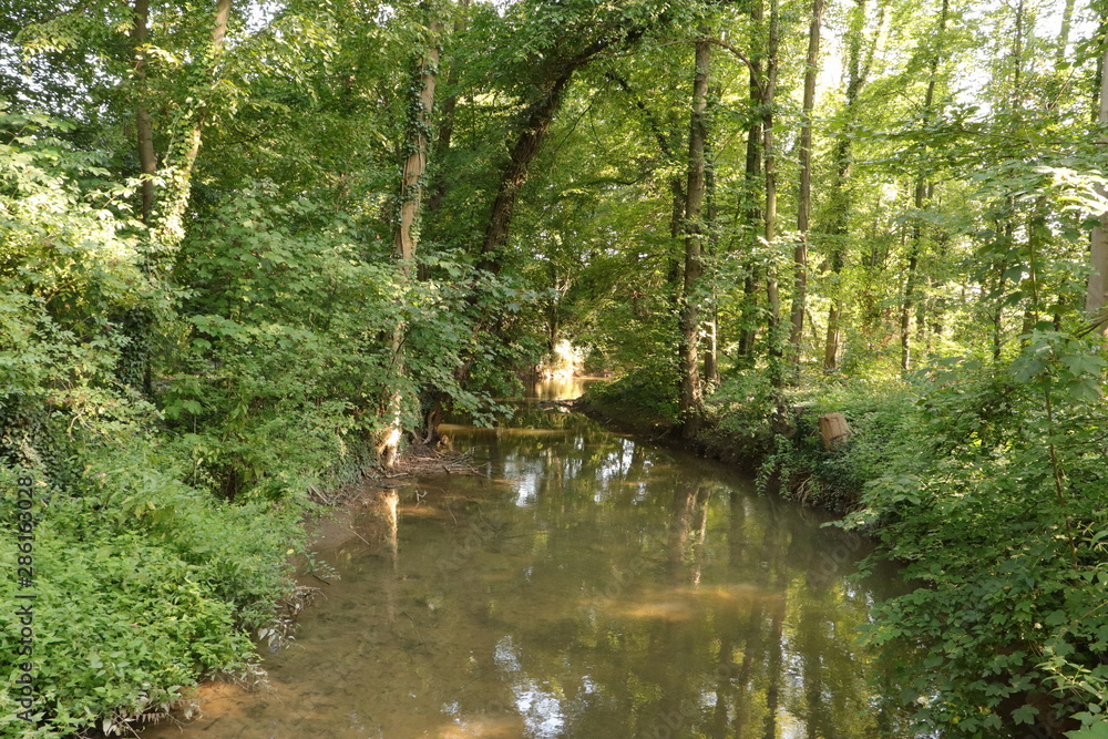 Bachlauf im Wald Bachlauf im Wald