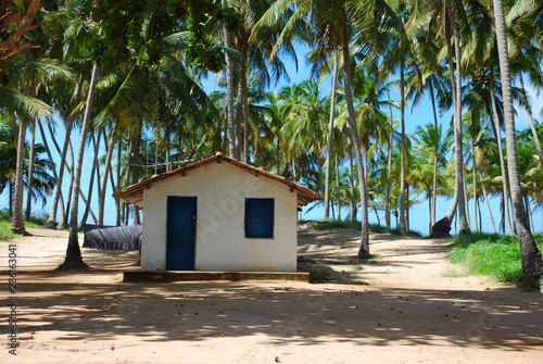 Fotografija Casa de pescador na Praia do Patacho em Alagoas, Nordeste do Brasil