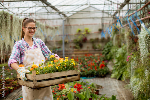 Young woman holding a wooden box full of spring flowers in the greenhouse
