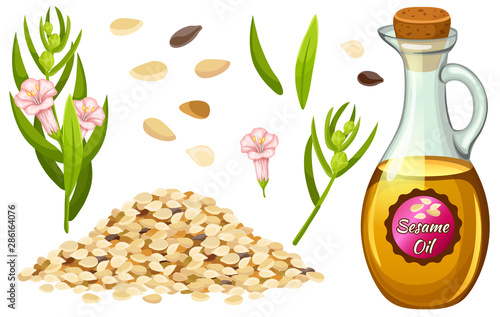 Set sesame oil, seed, flower and leaf. Isolated vector illustration on white background.