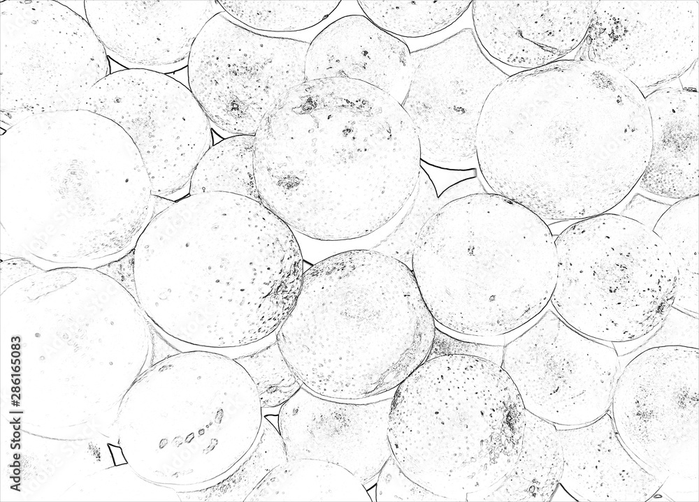 abstract background of a closeup orange in many colors