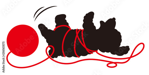 毛糸に絡まるトイプードルシルエット