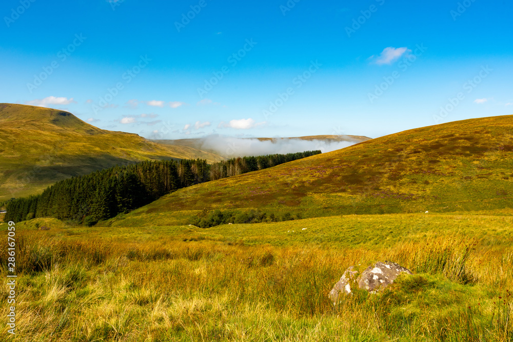 View to the forest with clouds forming in the valley behind from trail to Corn Du and Pen y Fan peaks in Brecon Beacons National Park - obrazy, fototapety, plakaty 