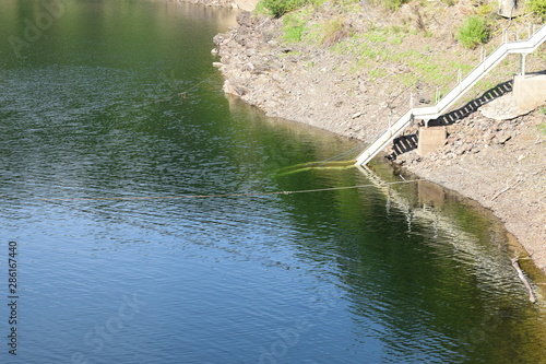 Rursee, Rurtalsperre in der Nordeifel photo