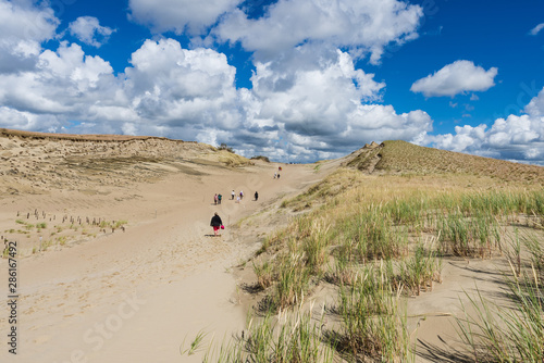 Foto Nagliai nature reserve near Nidden; Curonian Spit; Lithuania