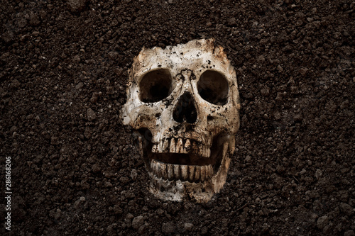 Fotografi Human skull buried halloween bakground