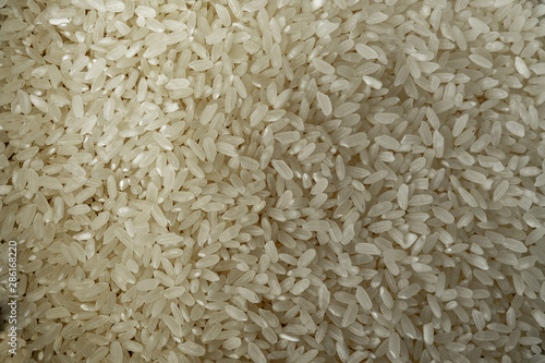 white rice