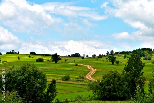 a hill with green grass and sparse trees
