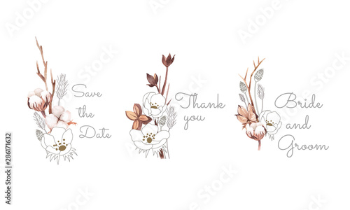 flower arrangement; cotton boll, cotton branch, wild grass and dried flower. hand painted watercolour style, mix line art style