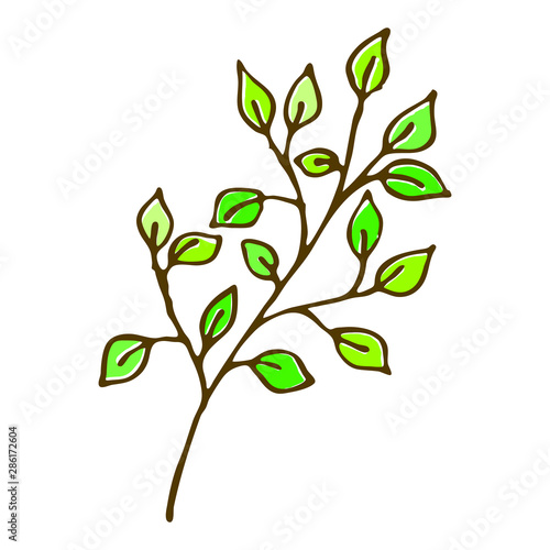 A thin tree branch with green leaves is isolated on a white background. The plant is hand drawn
