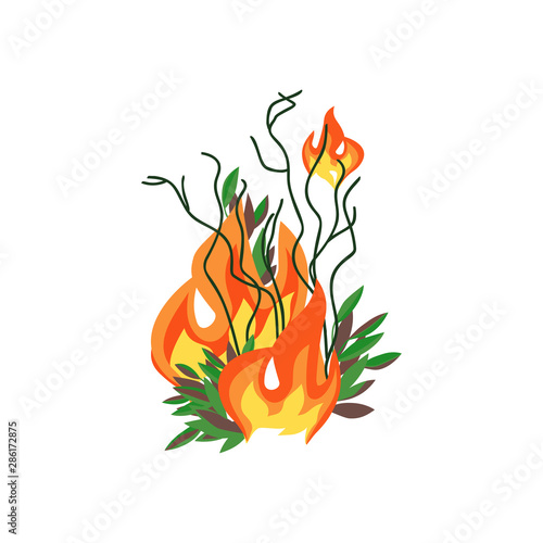 Forest fires disaster trees flat vector icon