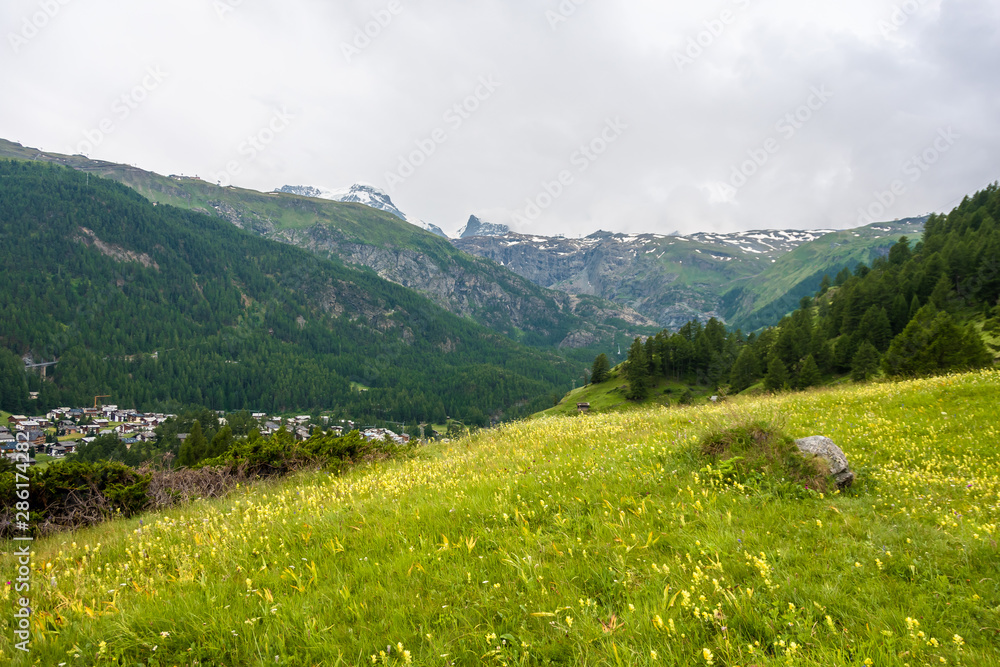 Idyllic landscape in the Alps with fresh green meadows, mountain tops in the background, Zermatt, Switzerland.