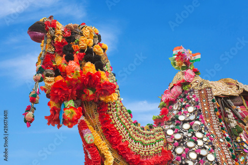 Beautiful decorated Camel at Bikaner camel festival in Rajasthan, India photo