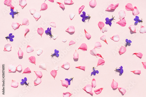 Delicate pink solid background with geranium petals and purple l