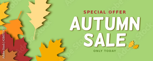 Herbst Sale Flyer mit herbstlichem Laub auf frischem grün
