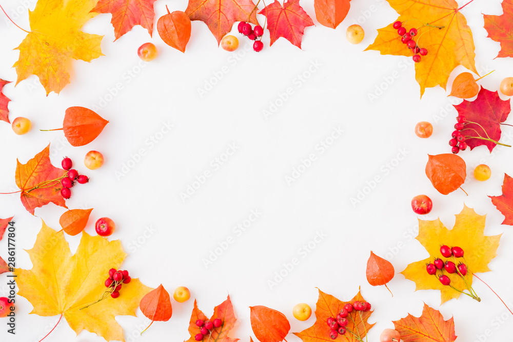 Flat lay frame with colorful autumn leaves and berries on a white background Flat lay frame with colorful autumn leaves and berries on a white background
