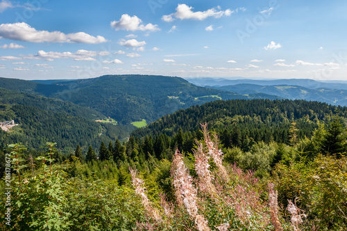 Black Forest in Bavaria, Germany. Untouched nature with mountains, forests, lakes and enchanting countries. The mountains near Lake Mummelsee with the mermaid statue.