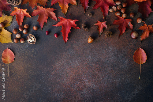 Autumn background with nuts and autumn leaves  on dark stone table