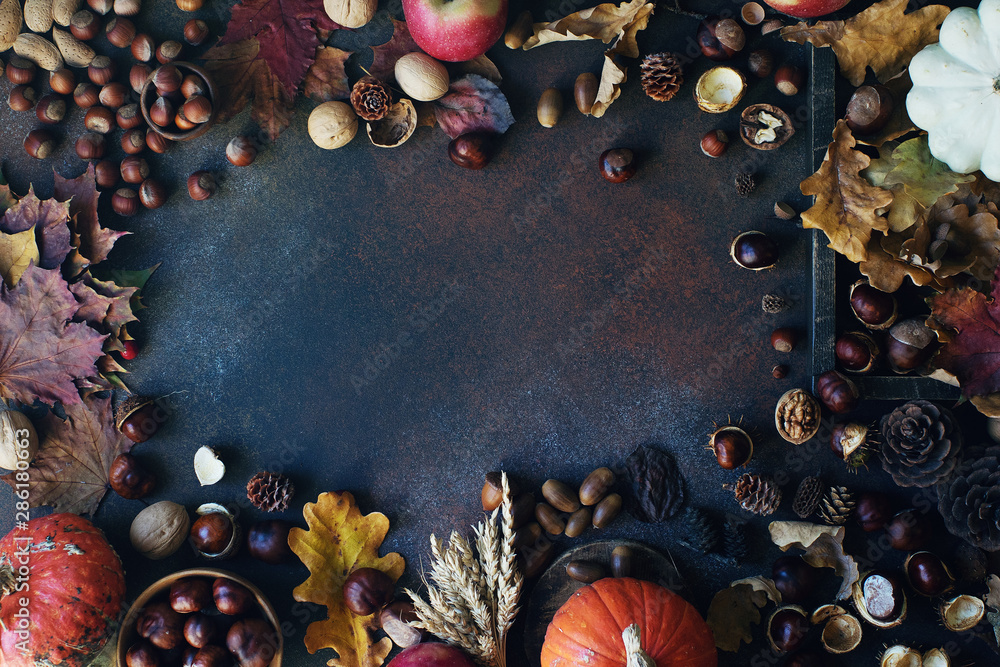 Autumn background with decorative pumpkin, acorns, nuts and autumn leaves  on dark stone table