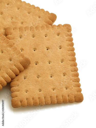 Tasty biscuits isolated