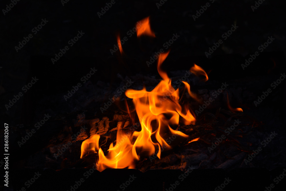Obraz premium Beautiful bright fire on black background at night.