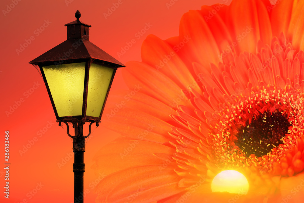 Old lantern light against bright orange sunset. Magic luminous flower. Sunlight inspiration fantasy background