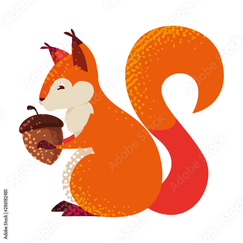 squirrel acorn happy autumn season flat design