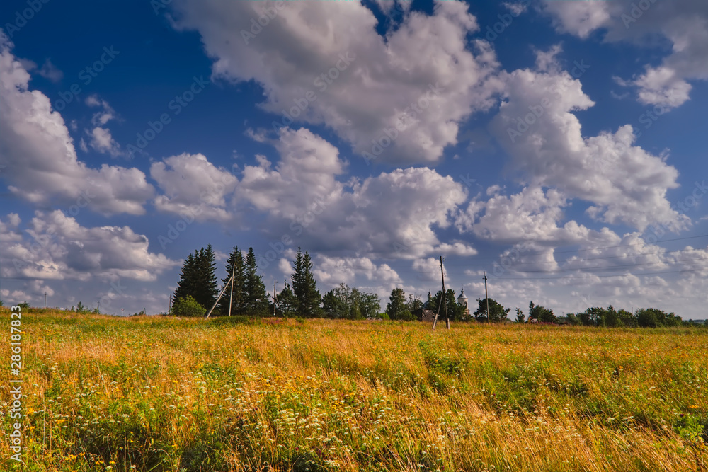 Summer rural landscape. Green field, forest on the horizon and white clouds on blue sky.