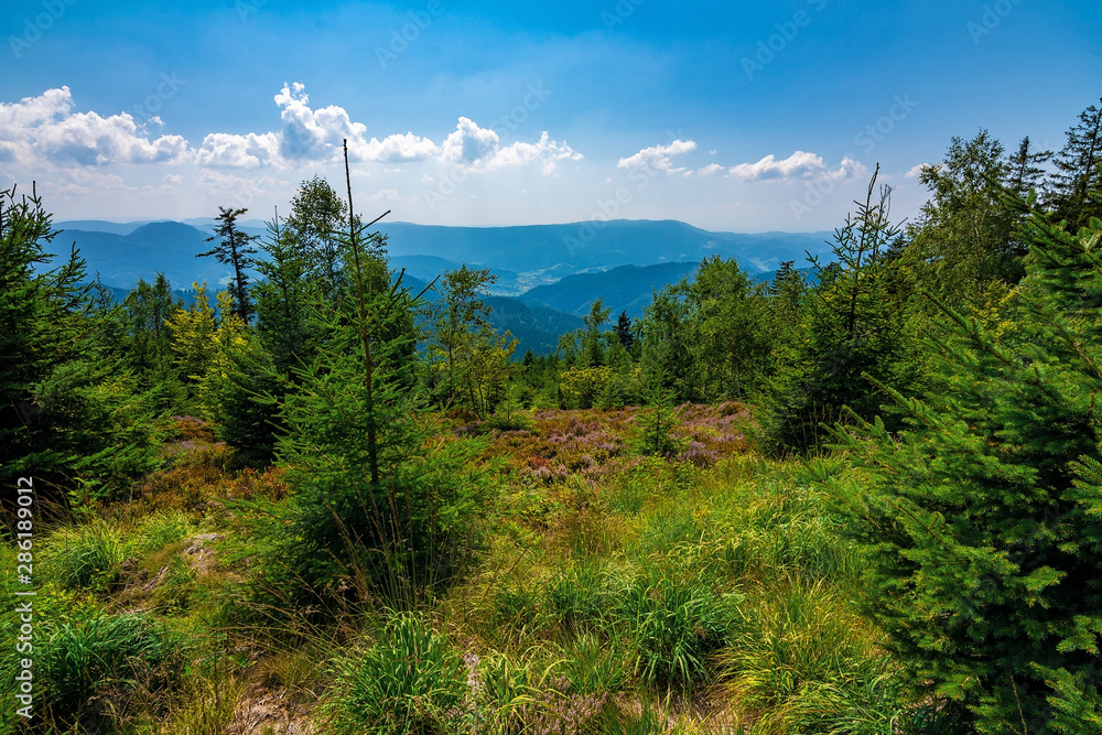 View down of a mountain in Black Forest / Schwarzwald, Germany